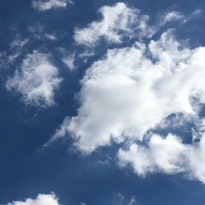 Meet your Posher, Chloe